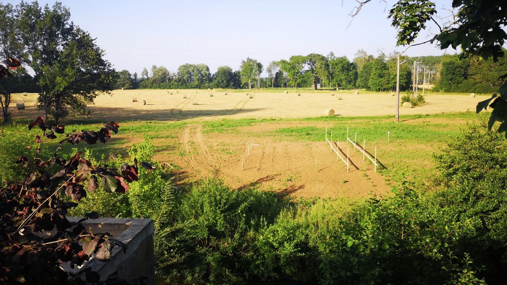 Champs et balles de foin autour du camping